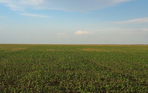 Safra de verão terá mais R$ 83 milhões para seguro