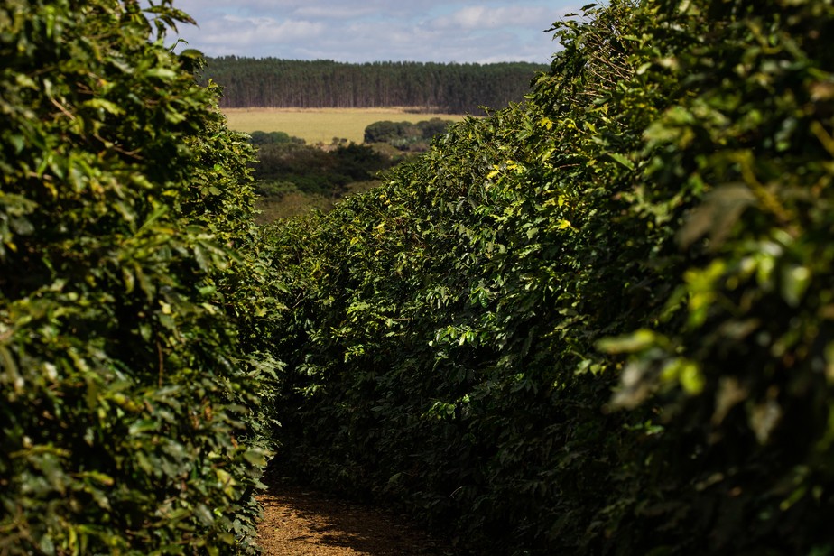 Escassez hídrica segue como preocupação em janeiro