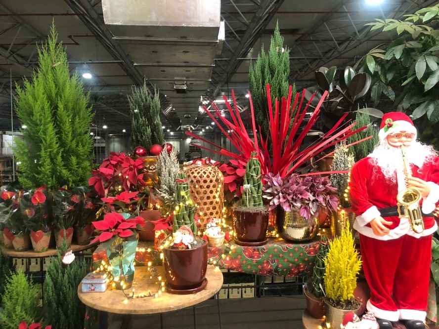 Árvore de Natal dourada: glamour e brilho na decoração natalina