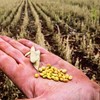 Objetivo é dar mais previsibilidade ao programa de gestão de riscos climáticos no campo - Globo Rural