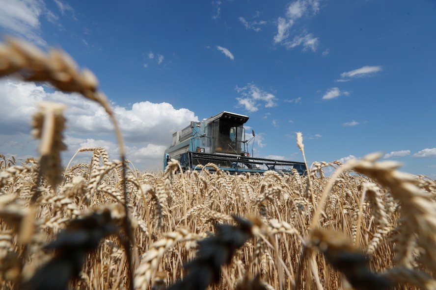 Colheita de trigo nos arredores de Hrebeni, na região de Kiev, na Ucrânia. Cereal deve ter área plantada menor no inverno de 2024