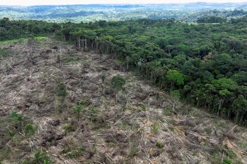 Parceria com Google melhora eficiência do Cadastro Ambiental Rural