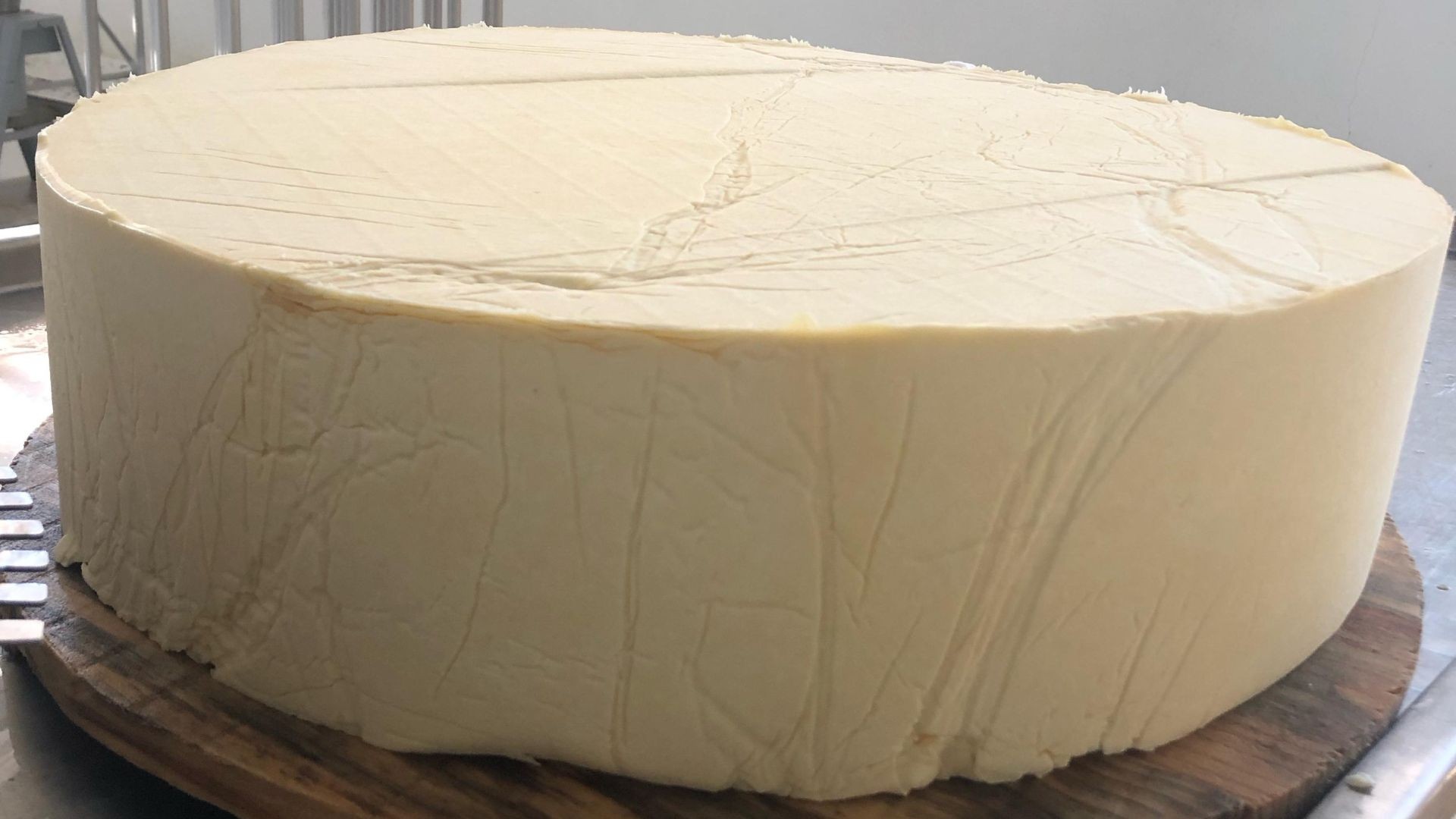 Cidade no RJ vai produzir maior queijo prato do mundo; saiba como