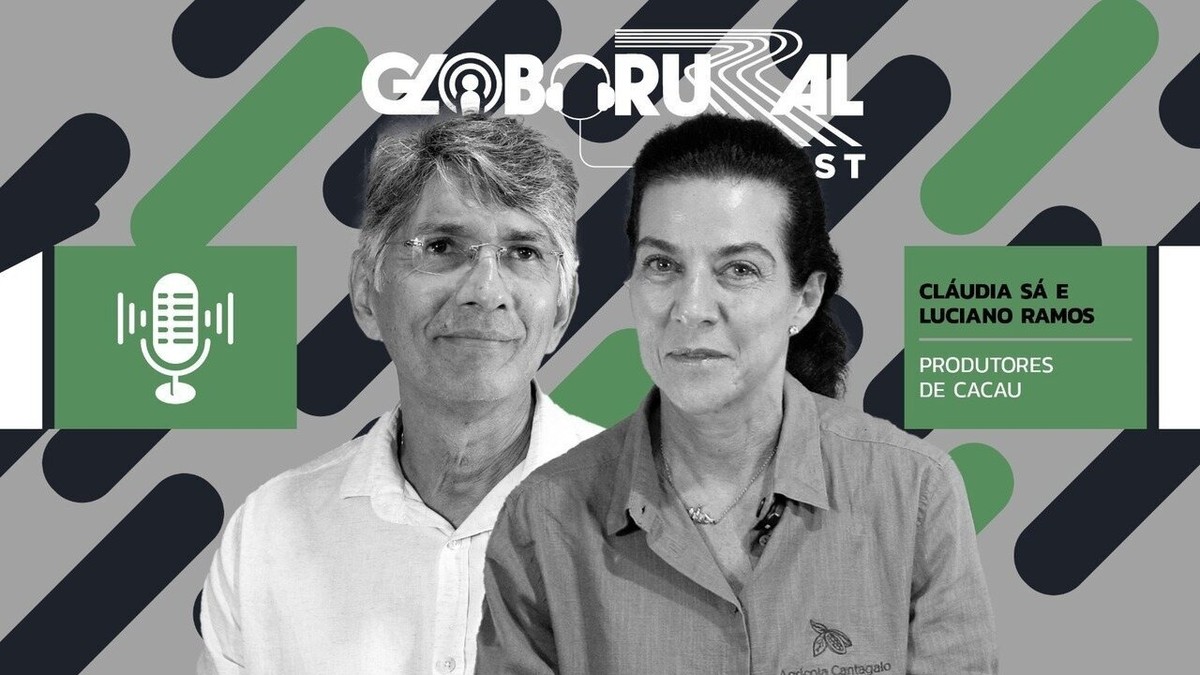 Vale a pena plantar cacau no Brasil?