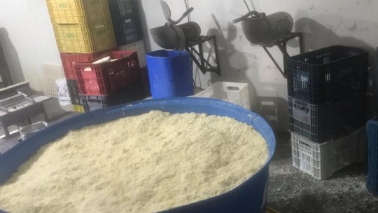 Fiscalização recolhe 20 toneladas de queijo impróprio para consumo
