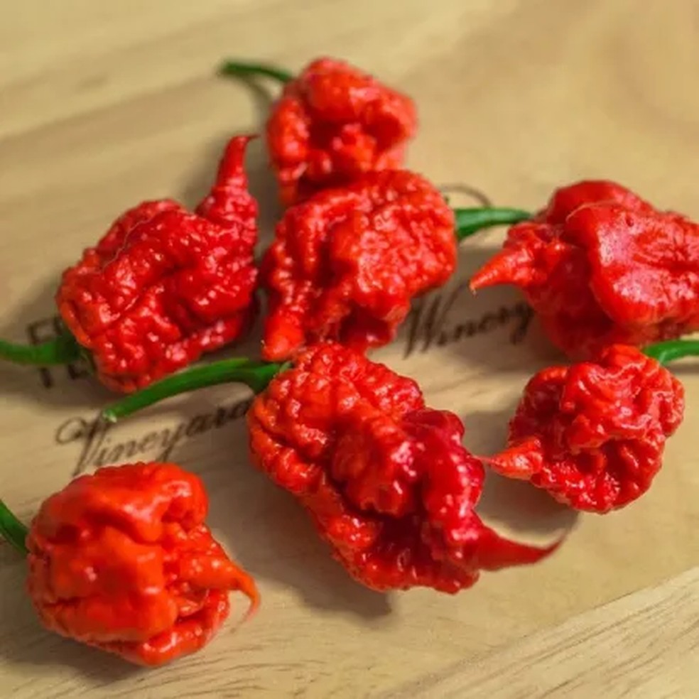 Pimenta 7 Pot Primo — Foto: Reprodução/Instagram
