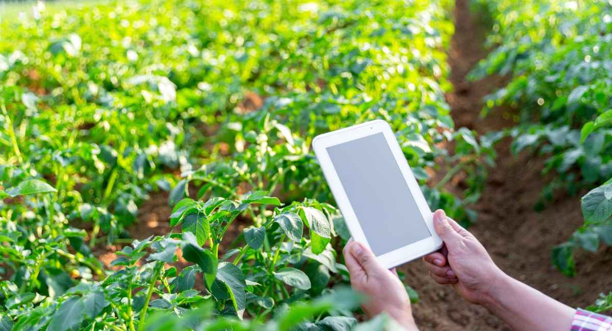 Concurso vai selecionar as melhores startups de tecnologia para o agro do Nordeste