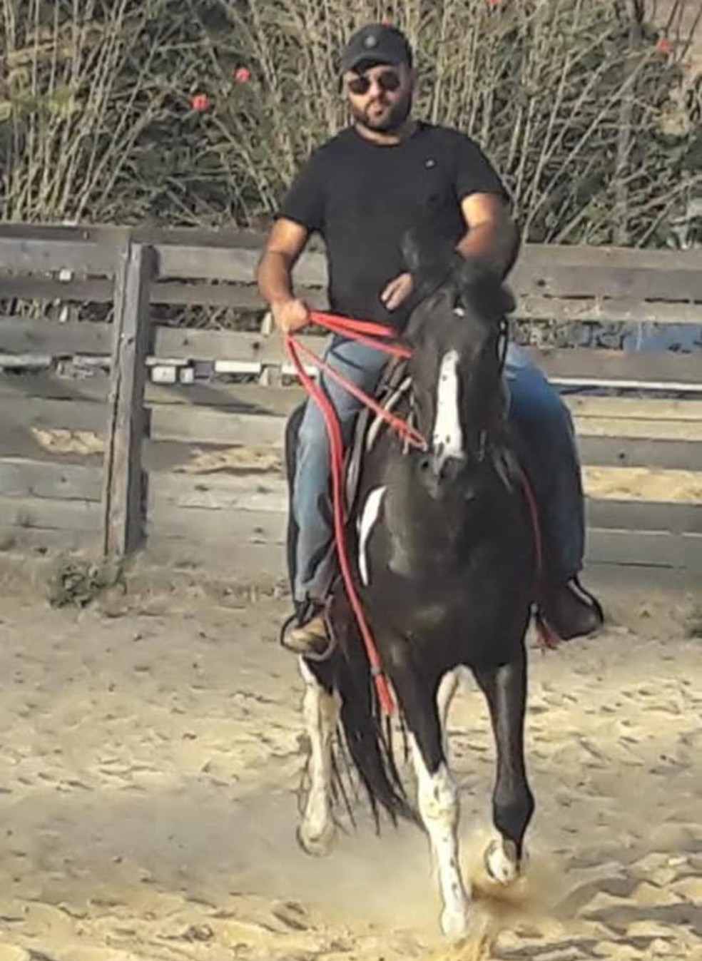 O criador de cavalos Roberto Barros, de Caçapava (SP), perdeu oito animais com valor estimado de R$ 500 mil e está tratando outros dez — Foto: Arquivo pessoal