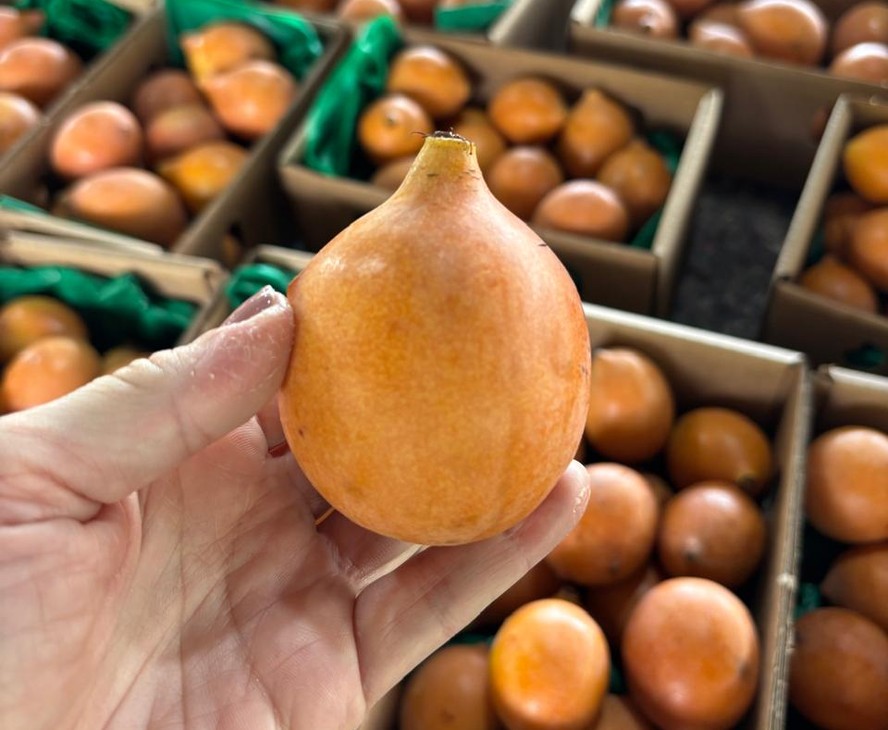 Cultivo de achachairu foi iniciado há cerca de 20 anos no Brasil