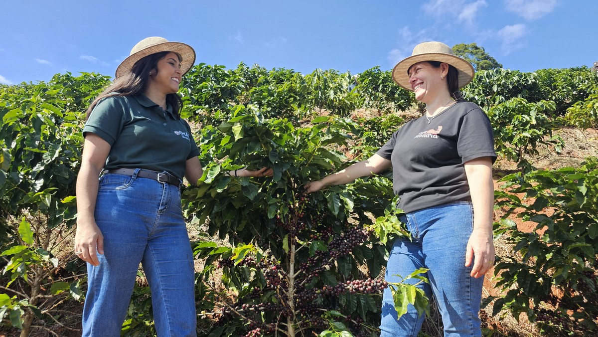 Café especial impulsiona renda e turismo rural em Minas Gerais