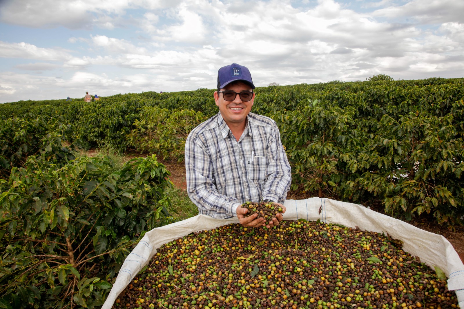 Valorização de funcionários é prioridade em fazenda de café no interior ...