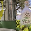 Estância das Oliveiras, do Rio Grande do Sul, se destacou na categoria Gran Prestigio Oro - Divulgação