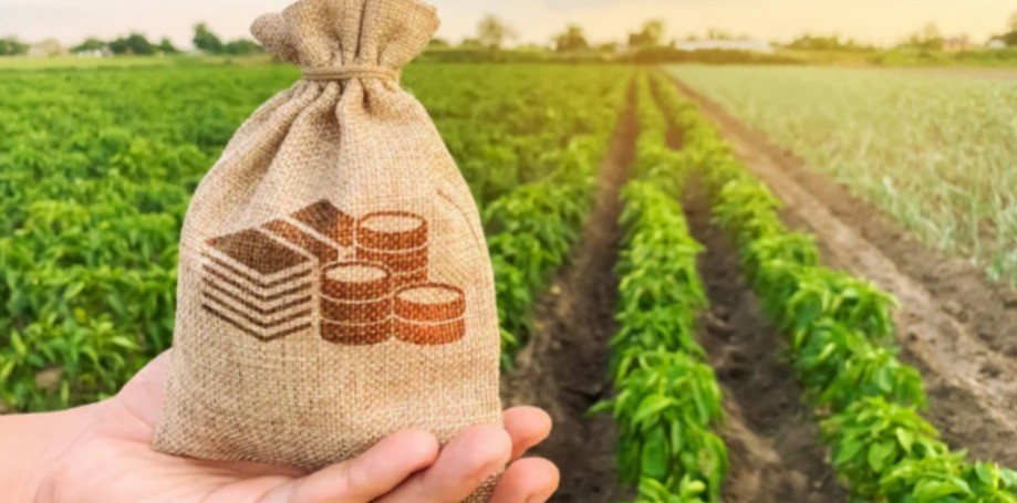 Crédito rural no Brasil: dados e tendências do financiamento no agronegócio