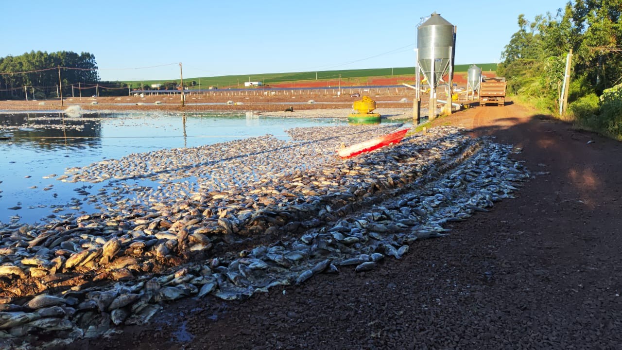 Apagões no campo geram prejuízos milionários a produtores; ouça o comentário