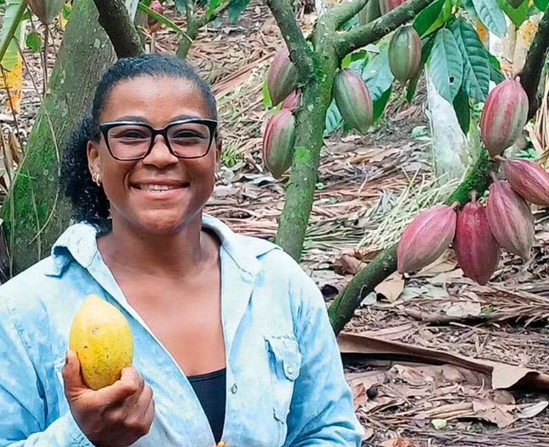 Com safras crescentes, produtores de cacau enfrentam falta de crédito para expandir plantio