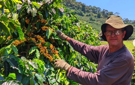 A história por trás de cada xícara: plataforma permite rastrear a origem de cafés