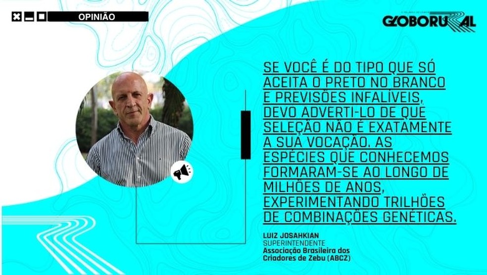  — Foto: Globo Rural