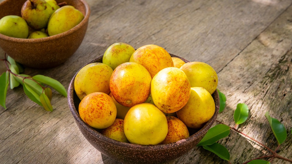 Conheça a mangaba, fruta (quase) 100% brasileira
