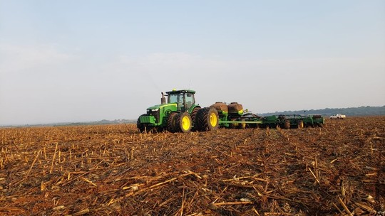 Plantio de soja atinge 0,2% da área no Brasil, informa AgRural