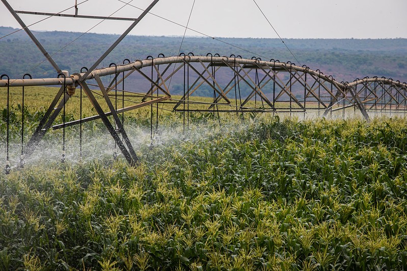 Governo propõe novas regras para descontos na tarifa de energia de irrigação e aquicultura