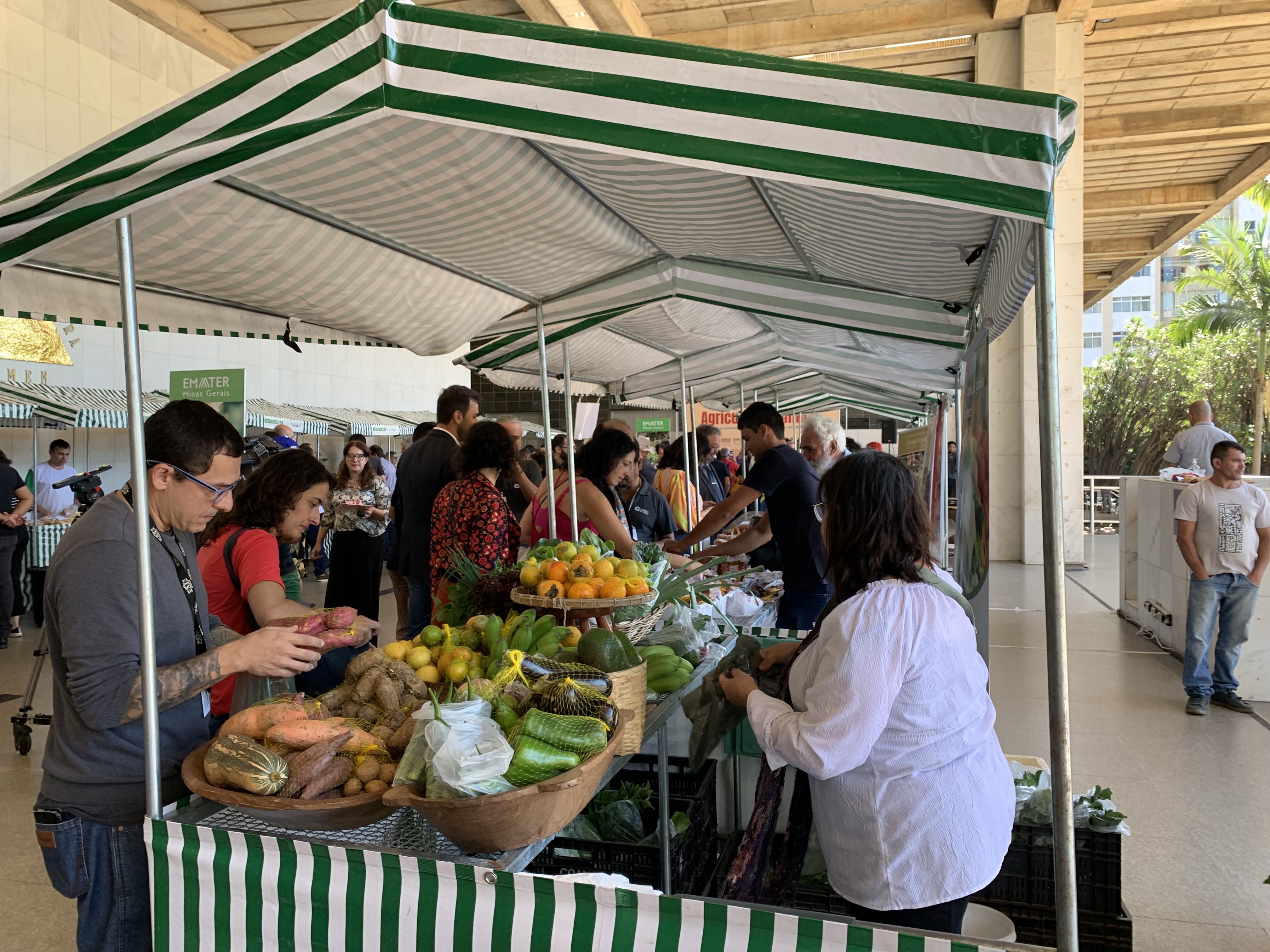 Feiras livres sustentam 19 mil famílias de agricultores em Minas Gerais