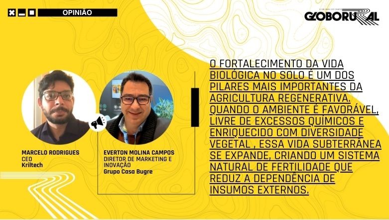 Agricultura regenerativa e nutrição inteligente como caminhos para produtividade sustentável