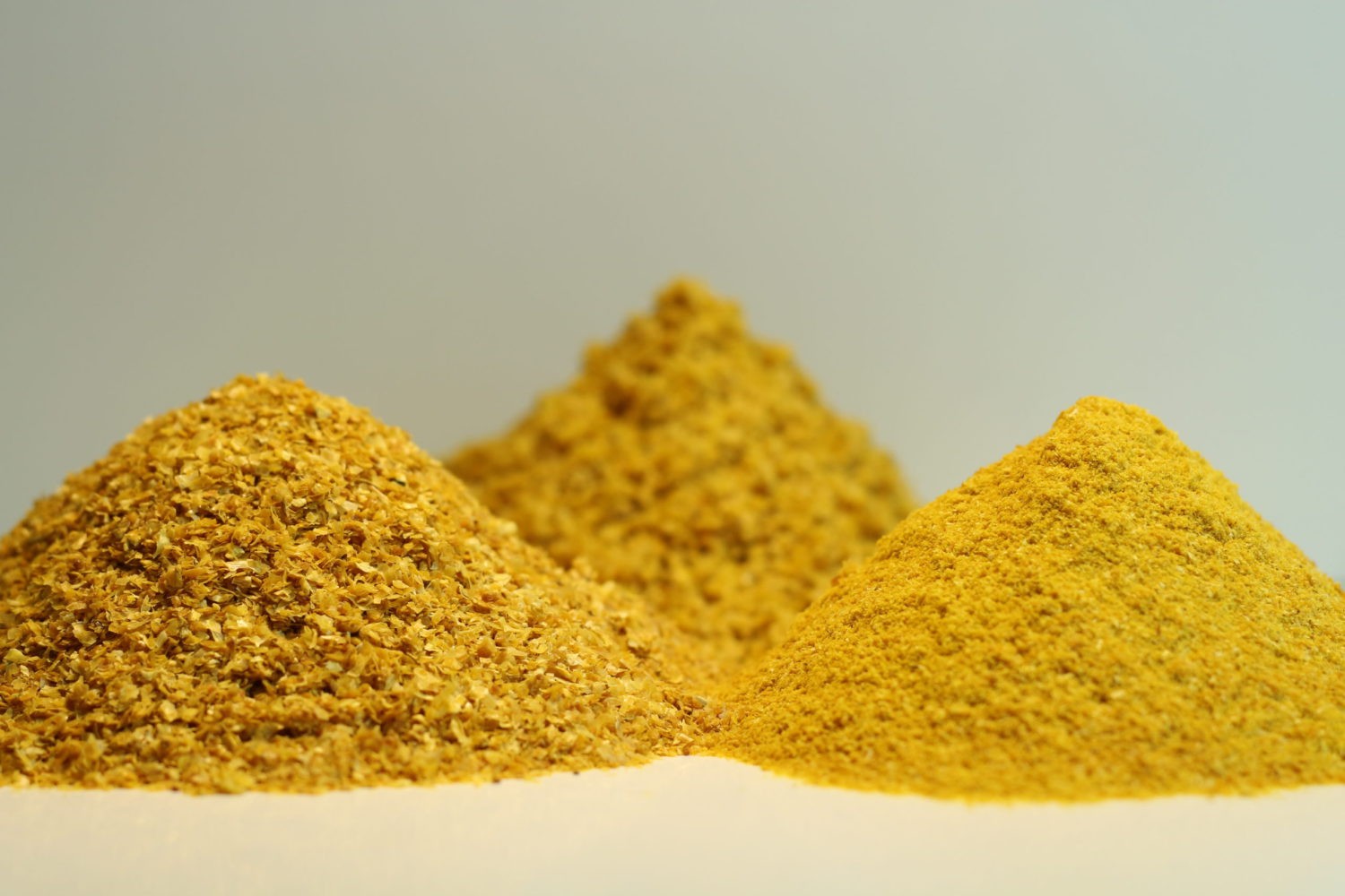 Inpasa e FS embarcam as primeiras cargas de DDGS do Brasil para a China