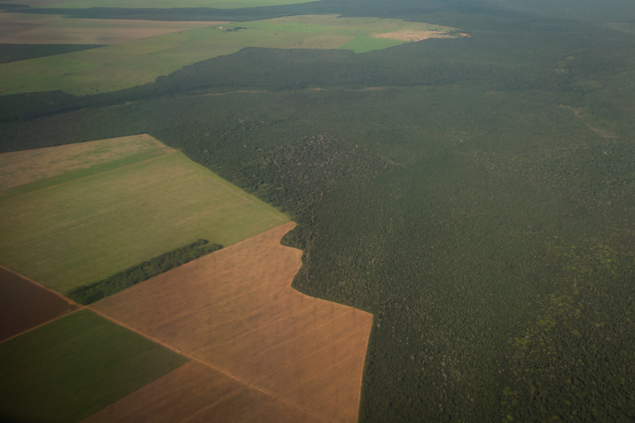 Governo brasileiro desaprova e critica a nova classificação de risco ao desmatamento da UE