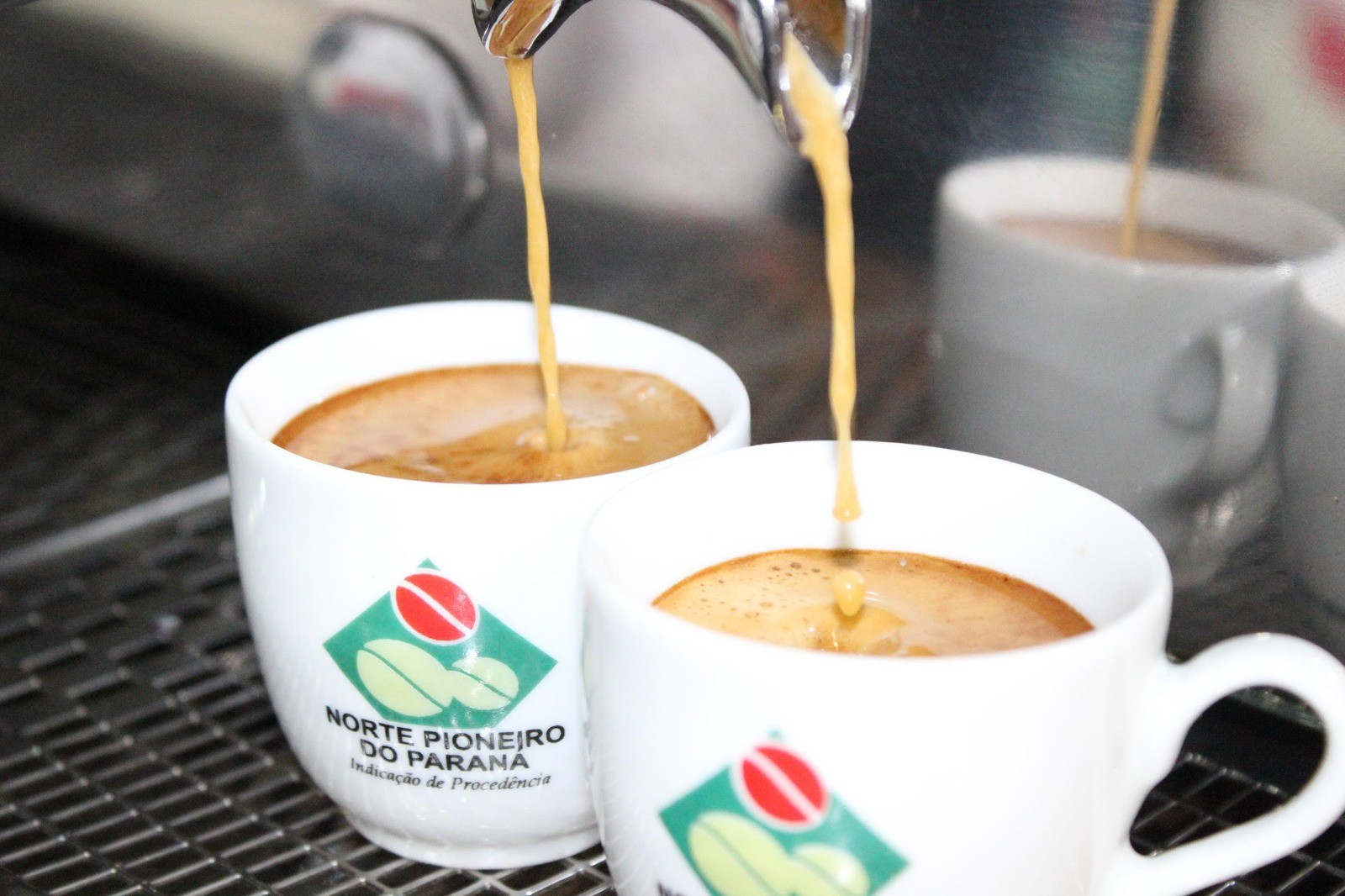 Feira reúne cafés especiais do Norte Pioneiro do Paraná