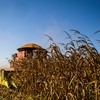O prazo mais curto está em linha com o ciclo de produção e geração de receita no campo, segundo o ministério da Fazenda - Wenderson Araujo/CNA
