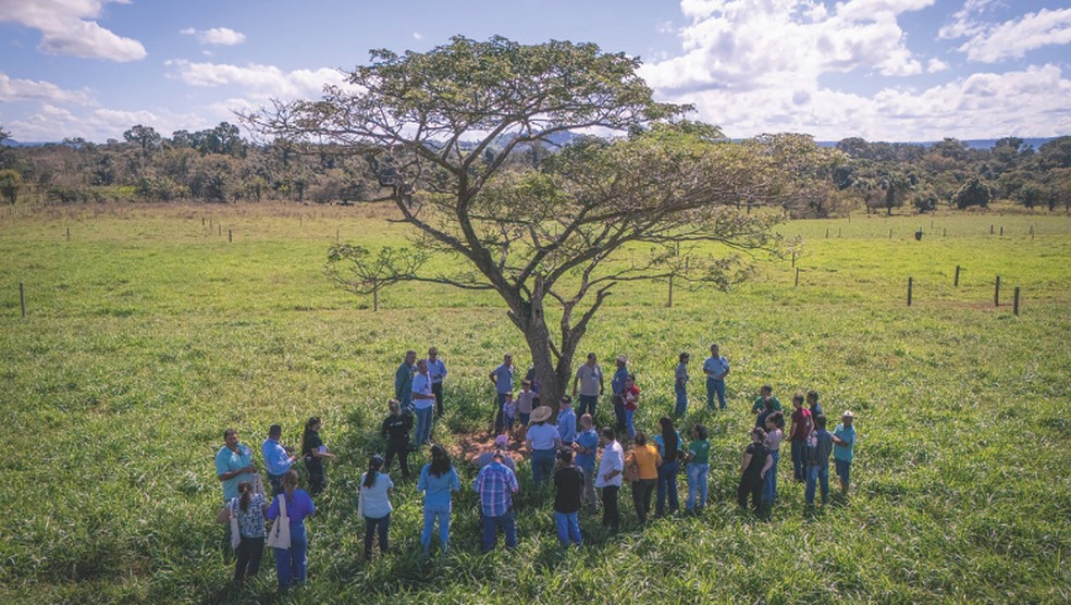 Encontro da ONG WWF com pequenos pecuaristas da região: o poder do conhecimento  — Foto: Divulgação