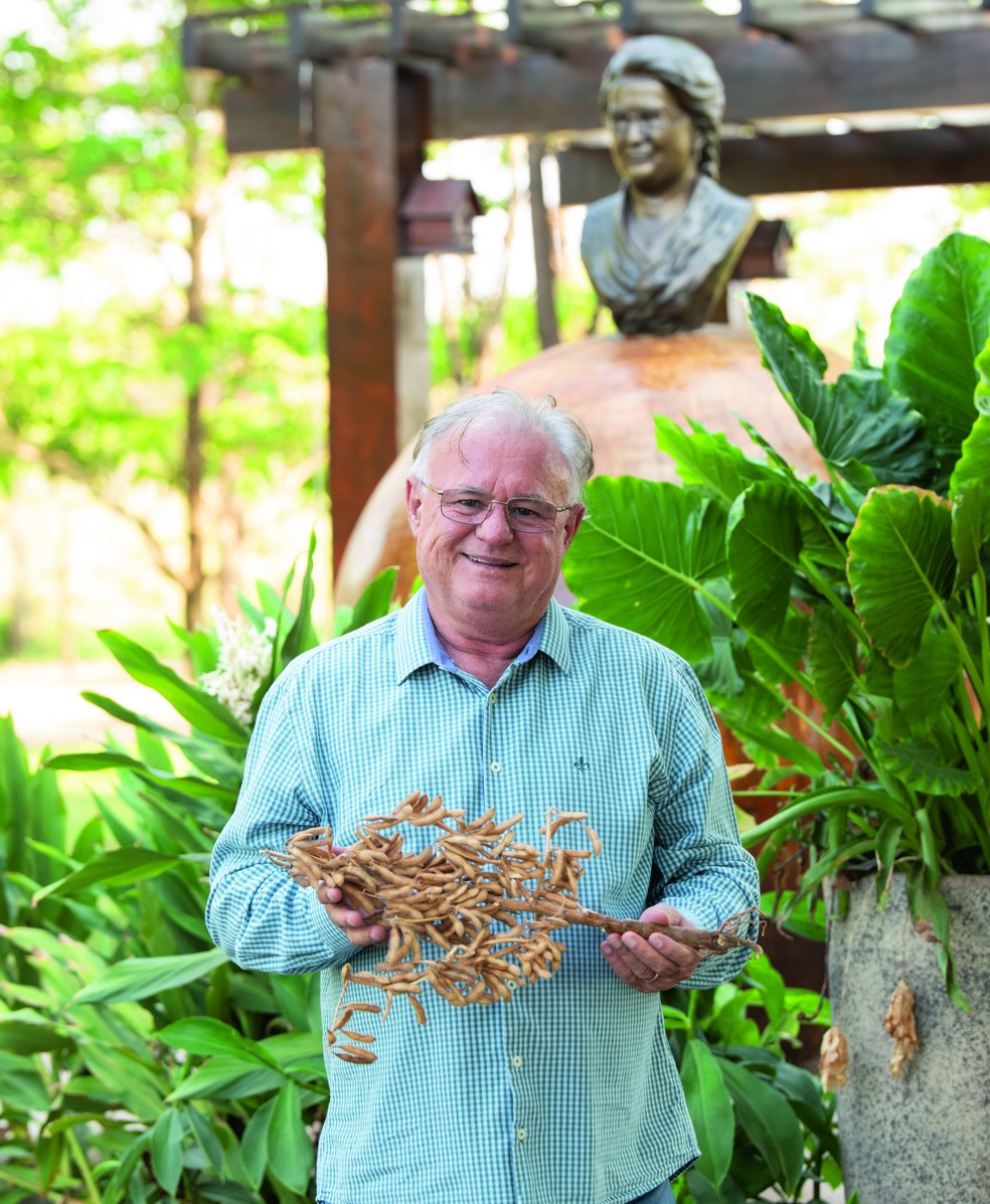 Eraí Maggi, do Grupo Bom Futuro: "O Brasil tem que mostrar que produz de forma sustentável — Foto: Fernando Martin