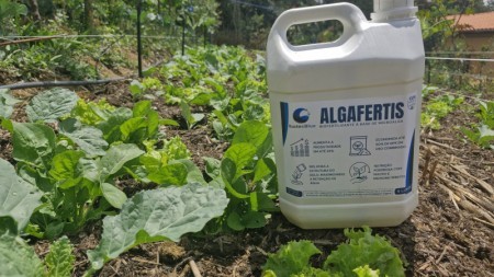 Bioinsumo de microalgas pode reduzir a dependência de fertilizantes agrícolas
