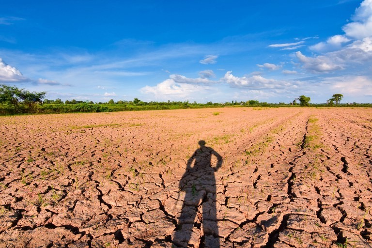 Trabalhadores rurais estão mais vulneráveis ao calor extremo no mundo, diz estudo