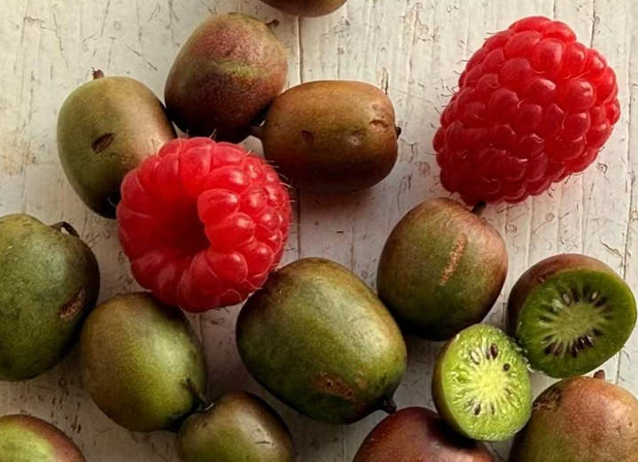 Um minikiwi satisfaz muita gente: frutas em miniatura conquistam produtores e consumidores