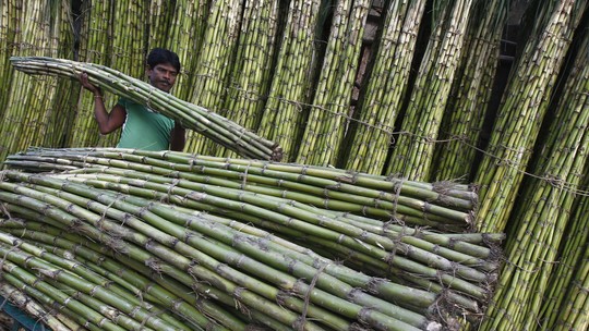 Produção de açúcar da Índia cai 1% no acumulado da safra, diz associação