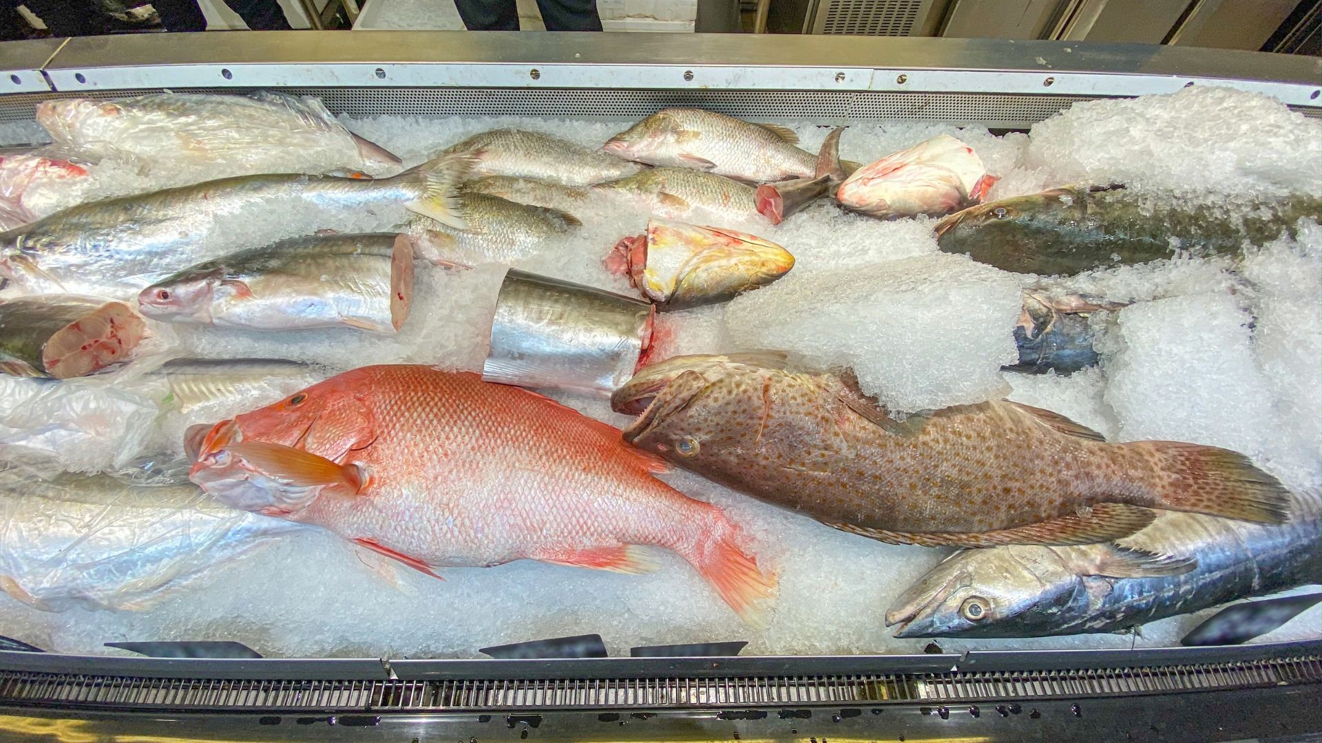 União Europeia enviará missão para avaliar pescado brasileiro