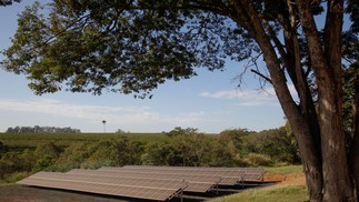 As placas de energia fotovoltaicas instaladas na propriedade suprem as necessidades da Bom Jesus - Foto: Ricardo Benichio