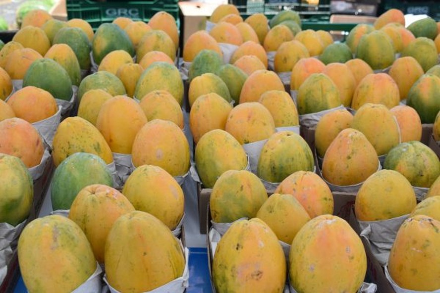 Com preços do mamão havaí mais altos, as vendas apresentaram maiores dificuldades