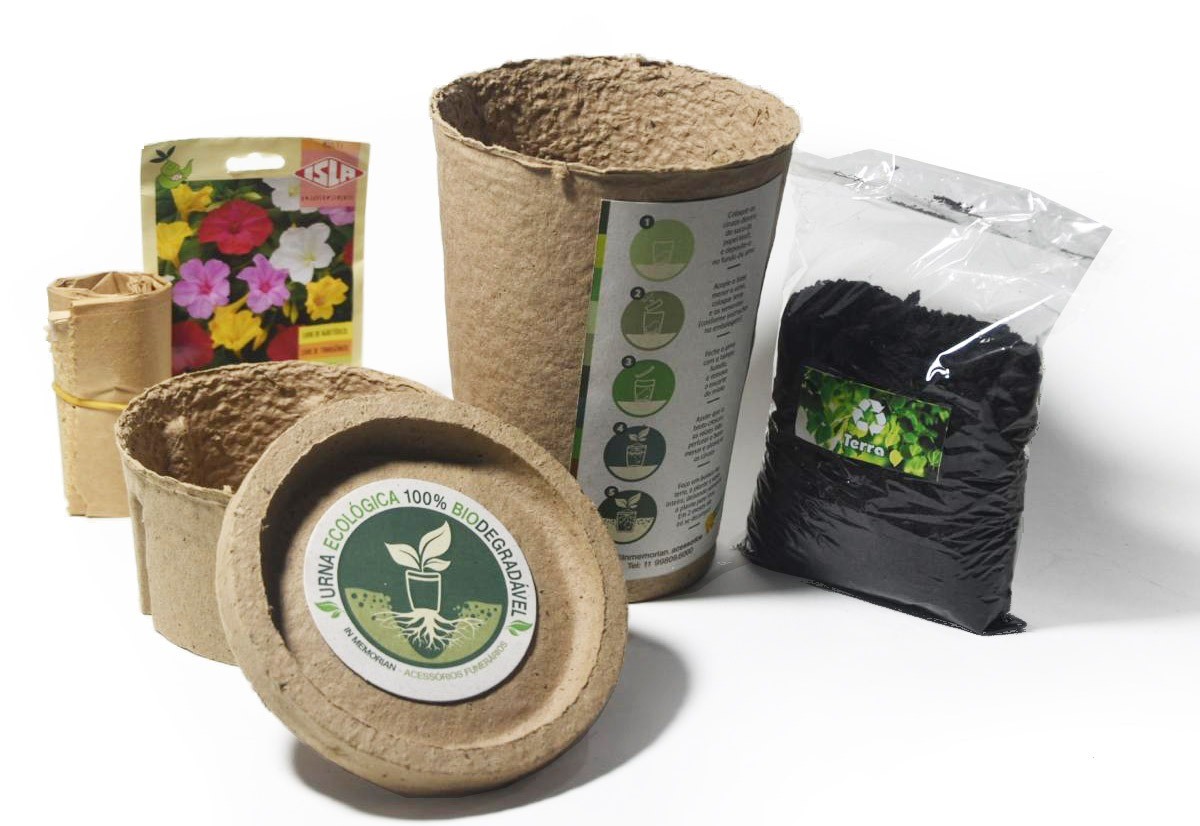 Urna biodegradável permite criar jardins para cinzas de pets: 'Ajuda a lidar com o luto'