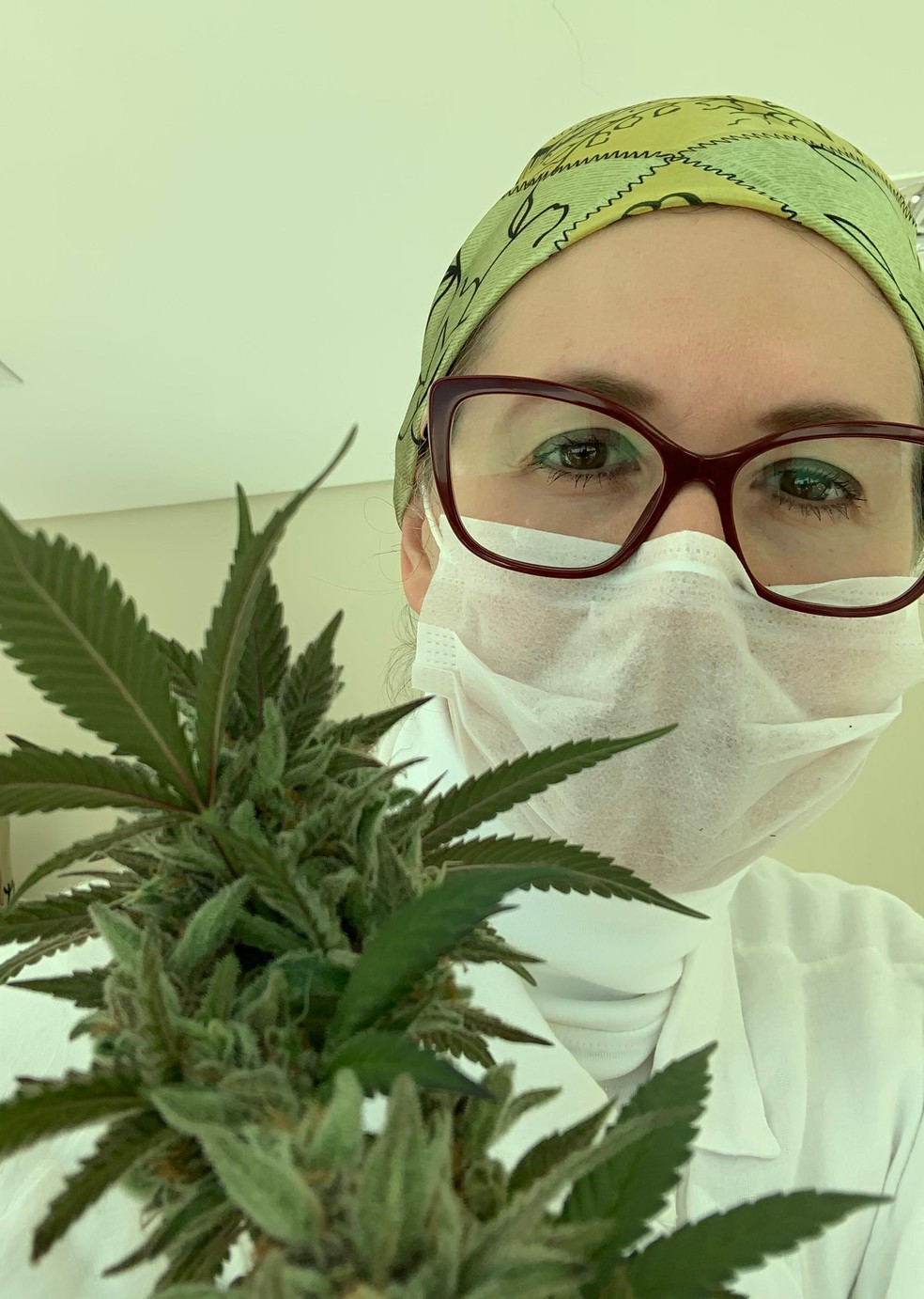  Kiara Carolina Cardoso pretende cultivar a planta na filial da DNA em Petrolina (PE) — Foto: Arquivo pessoal
