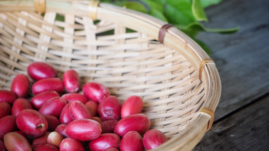 Conheça a fruta do milagre e entenda os seus benefícios