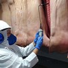  O Ministério da Agricultura ainda deverá publicar uma portaria com detalhes da regulamentação da medida - Anffa Sindical