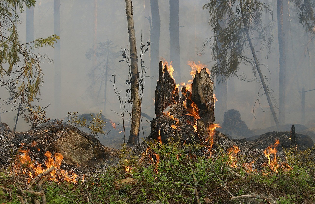 Inmet e Ibama vão compartilhar dados para prevenir incêndios florestais