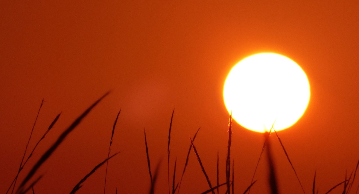 Onda de calor faz temperatura voltar aos 40ºC; saiba quando e onde | Previsão do tempo
