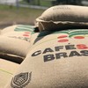 Os EUA são os maiores compradores mundiais de café, com cerca de 24 milhões de sacas consumidas ao ano, e o seu maior parceiro no fornecimento é o Brasil - Gustavo Facanalli/Embrapa