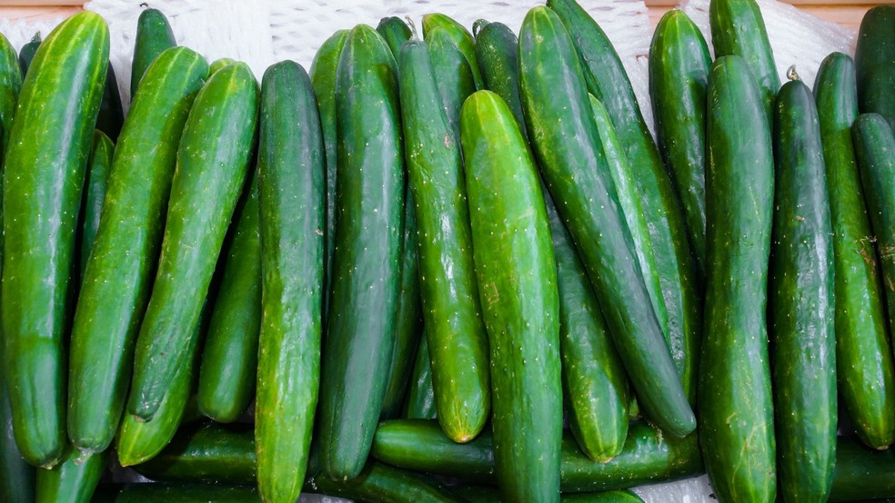 Pepino — Foto: Canva/Creative Commons