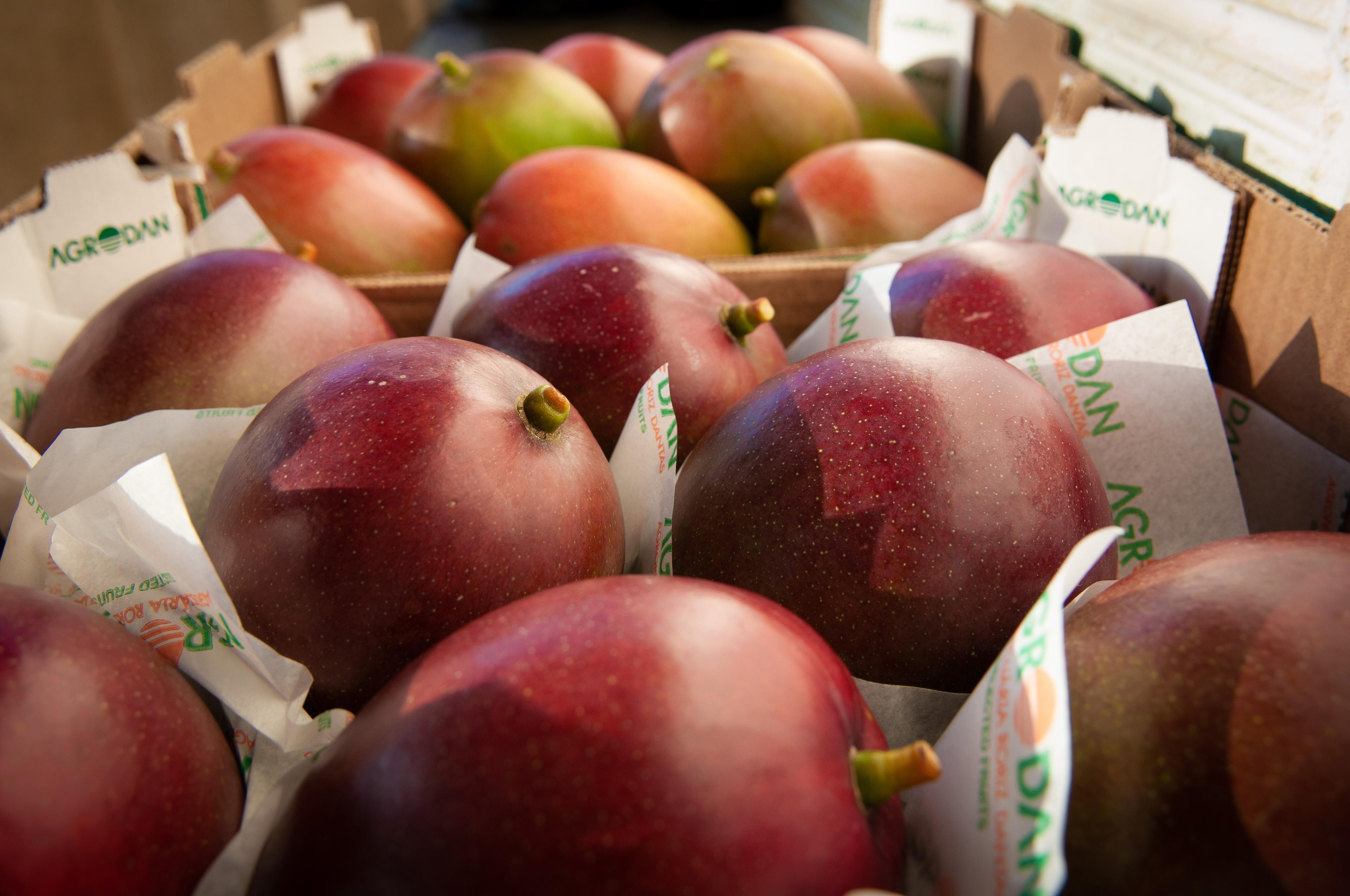 Após recorde em  2023, exportações de frutas devem seguir em alta