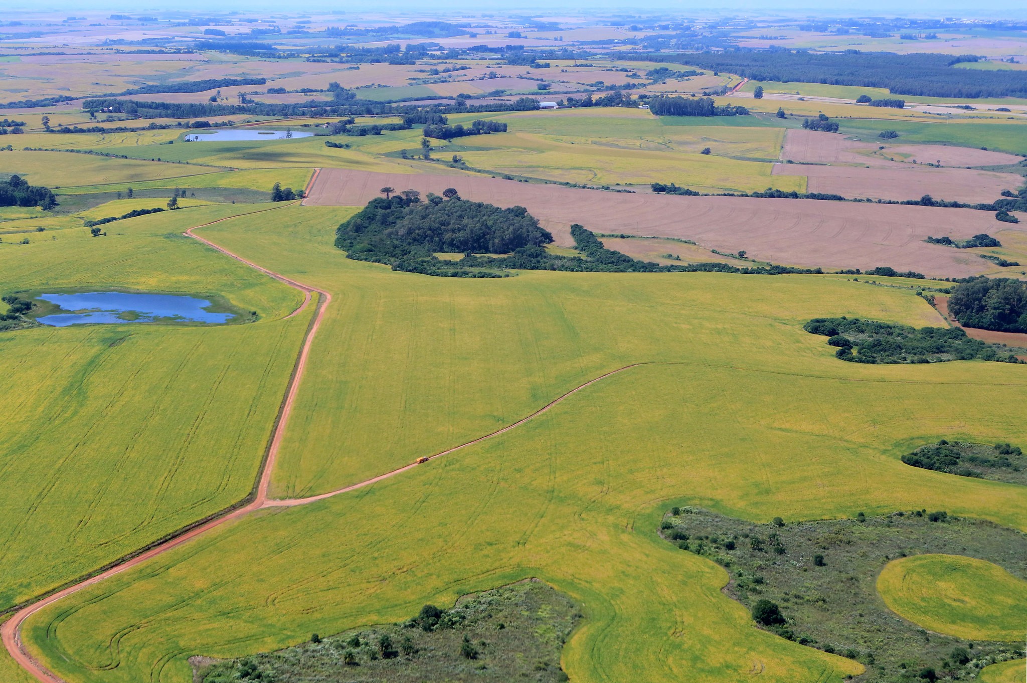 Principais tendências para o campo em 2025