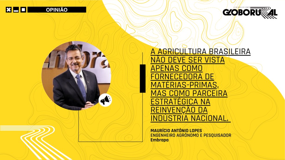  — Foto: Globo Rural